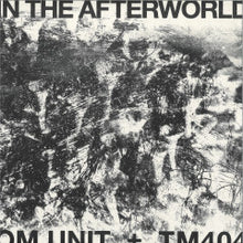 Load image into Gallery viewer, Om Unit &amp; TM404-In The Afterworld (12&quot;LP)
