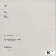 Load image into Gallery viewer, Artefakt-Floodplain (12&quot;LP)
