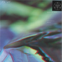 Load image into Gallery viewer, Birds Of Prey-Vanishing Point (12&quot;LP)
