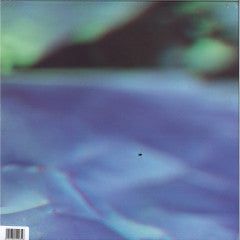 Birds Of Prey-Vanishing Point (12"LP)