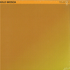 Paolo Mosca-Transition (12