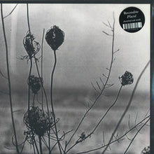 Load image into Gallery viewer, Recondite-Placid (2x12&quot;LP)
