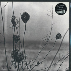 Recondite-Placid (2x12"LP)