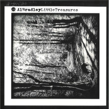 Load image into Gallery viewer, Al Bradley-Little Treasures (2x12&quot;LP)
