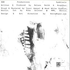 D&B PRODUCTIONS aka DELANO SMITH / BRAWTHER-Symbiosis (2x12"LP)