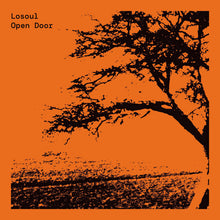 Load image into Gallery viewer, Losoul-Open Door (2x12&quot;LP)
